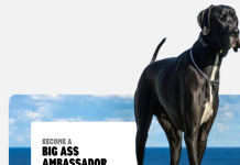 Big Ass Dog Company Review: Is the lifeSPAN™ System Actually Worth It for Big Dogs?