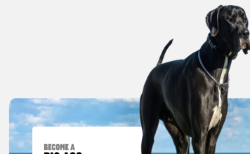 Big Ass Dog Company Review: Is the lifeSPAN™ System Actually Worth It for Big Dogs?
