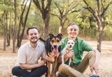 Pupper Crust Review: Where Dog‑Centred Love Turns Into Real, Usable Products